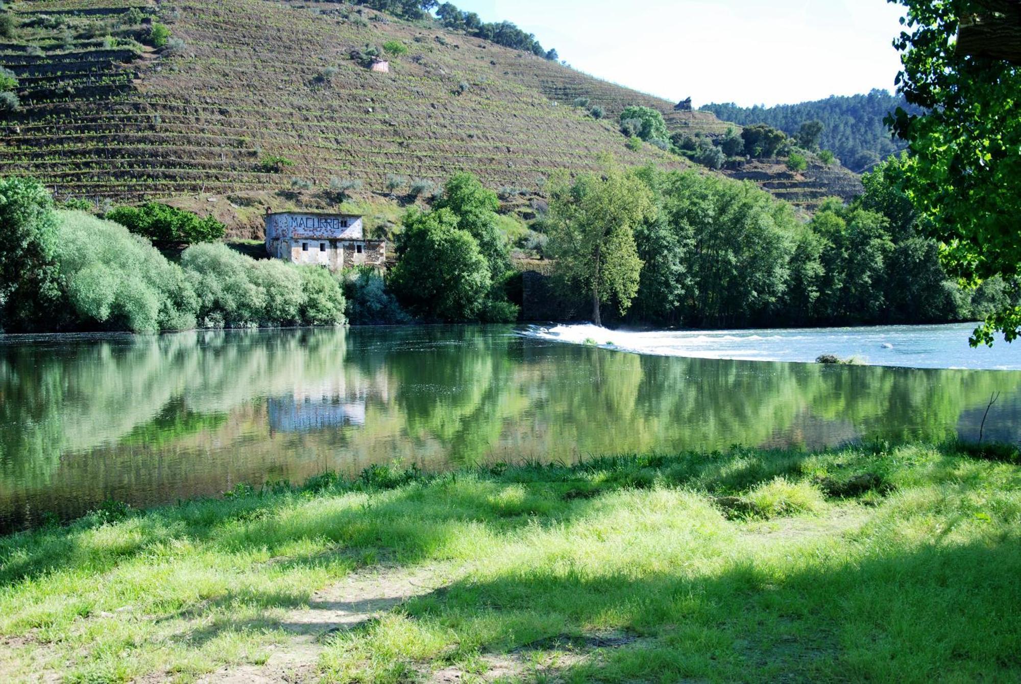 Casa Oliveiras Do Douro Villa Sobreira Exterior foto